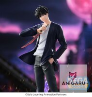 Solo Leveling – Sung Jinwoo Statue (18 cm) | Xross...