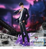 Solo Leveling – Sung Jinwoo Statue (18 cm) | Xross...