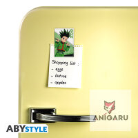 HUNTER X HUNTER Merchandise & Fanartikel Magnet