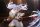 Beyond Journey’s End – Frieren AMP+ PVC Statue 21 cm